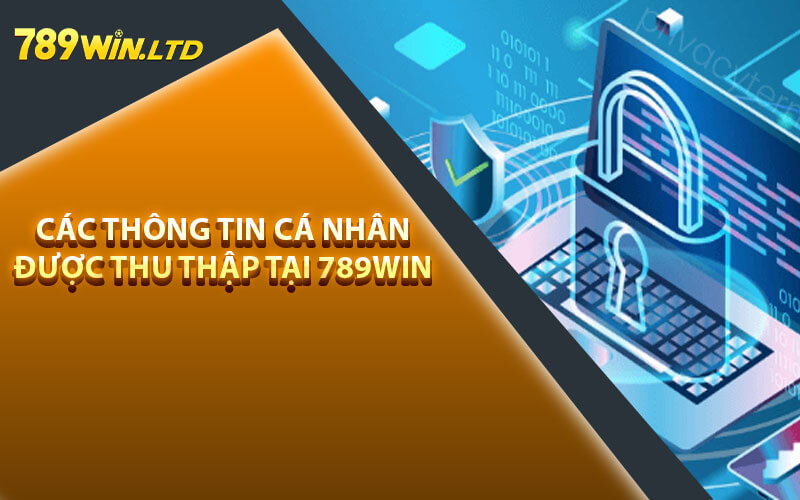 Các thông tin cá nhân được thu thập tại 789Win