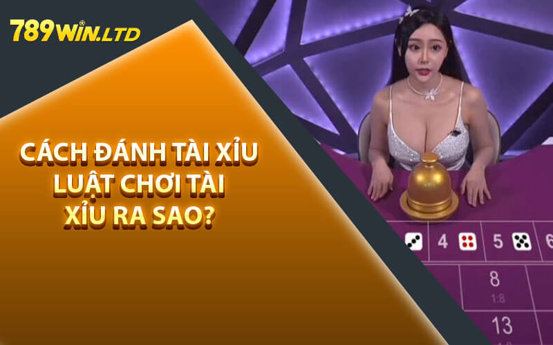 Cách Đánh Tài Xỉu – Luật Chơi Tài Xỉu Ra Sao?